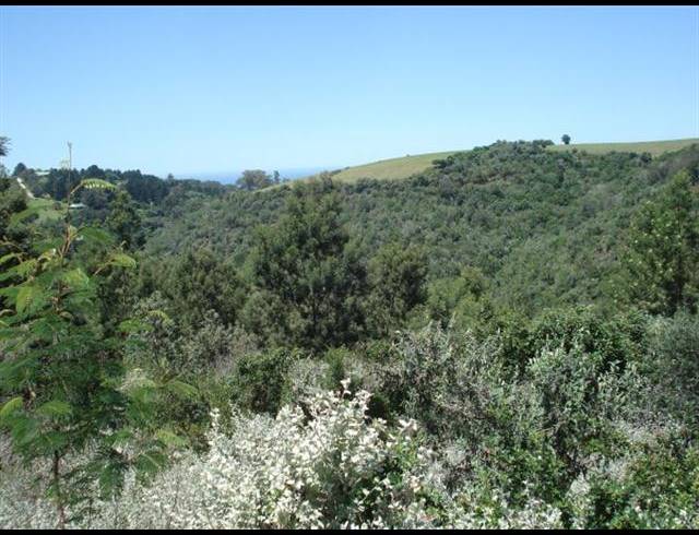 LAND FOR SALE IN WILDERNESS HEIGHTS